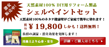 シェルペイント